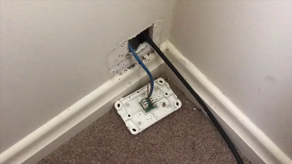 Play the video: Lazy NBN Install? This is What a Real NBN HFC Relocation Looks Like