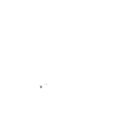 Expert Technician Visit (1)