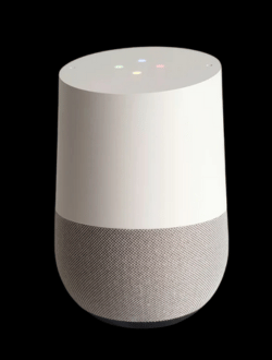 Google Home & Alexa