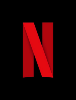 Netflix Setup 